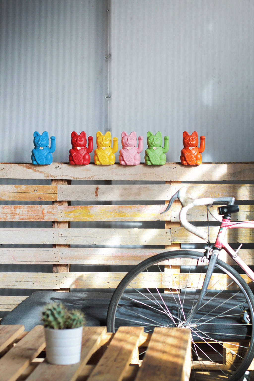 Luckycat M - arancione